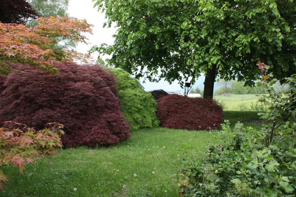 Villa San Giorgio Pellio Superiore Bagian luar foto