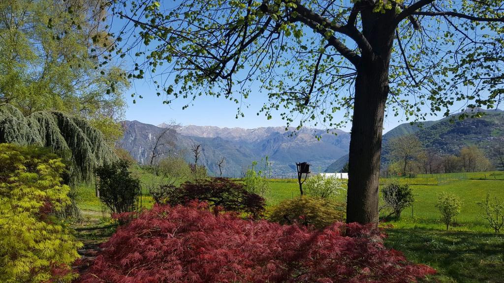 Villa San Giorgio Pellio Superiore Bagian luar foto