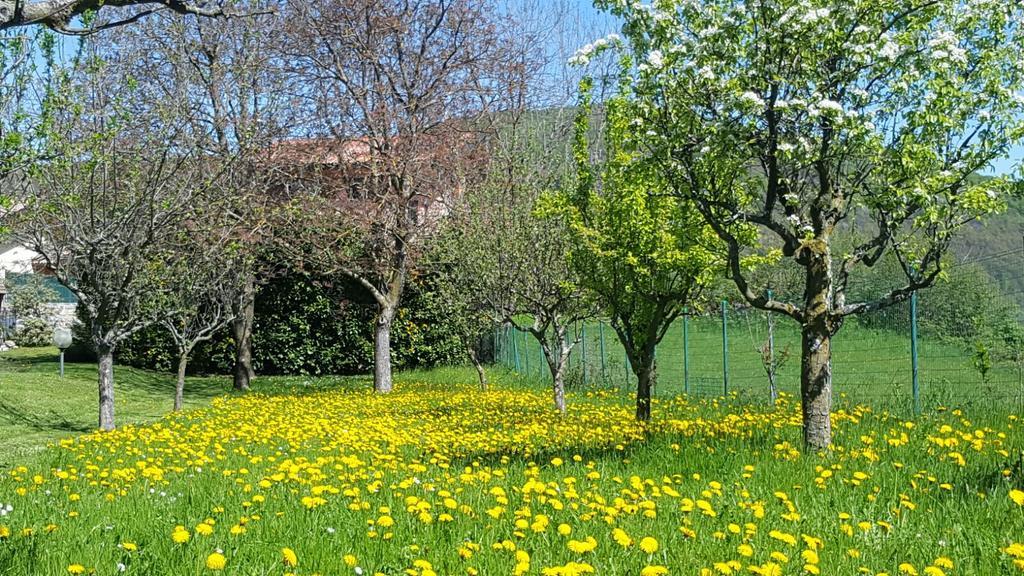 Villa San Giorgio Pellio Superiore Bagian luar foto